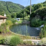 © le bassin du moulin - <em>Patricia Fournier</em>