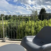 © Clos des Mouliniers - <em>Clos des Mouliniers - gite Insouciance</em>