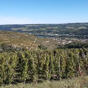 © Vignes côte du rhône - <em>Moto Pro 38 - Marc Neidinger</em>