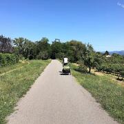 © VTT sur la Via Ardèche (voie verte) à 200m du Vallon du Savel - <em>Le Vallon du Savel</em>