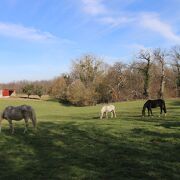 © environnement - <em>La Combe au Lierre</em>