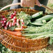 © Potager du Château - <em>Château de Lemps</em>