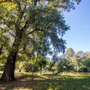 © Accès direct à la rivière Ardèche - <em>Domaine du Cros d'Auzon</em>