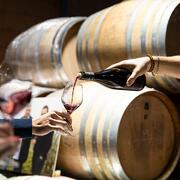 © Brunch(di)vin au Domaine Les Vins de Vienne - <em>Instapade Studio</em>