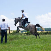 Haras de Préjeurin