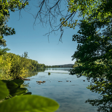 © île du beurre - Tupins et semons - <em>Sylvain Dalman</em>