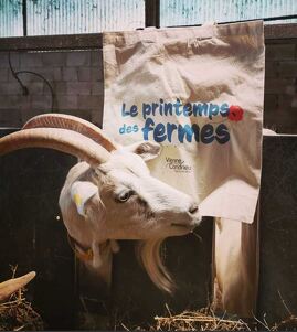 Le Printemps des fermes