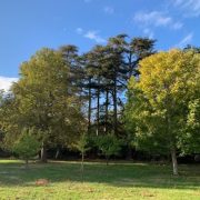 © "De la vigne au verre" chez M. et Mme Du Tremolet - <em>Ch de Lemps</em>