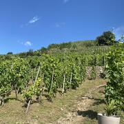 © Foire des Copains : 5e Édition - <em>DR</em>