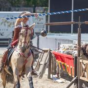 © Fête Historique de Vienne - <em>Cédric Trémélo Photographe</em>