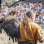 © Fête Historique de Vienne - <em>Cédric Trémélo Photographe</em>