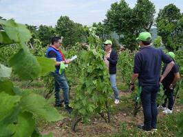 Rhône Trip