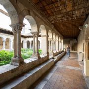 © Cloître Saint-André-le-Bas - <em>InstapadesStudio</em>