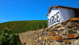 Domaine Julien Barge