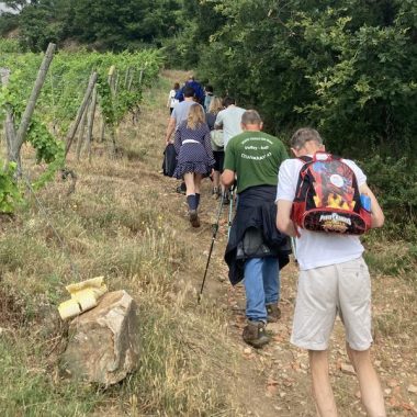 © Rando En Côte-Rôtie - <em>Denis LARDIN</em>