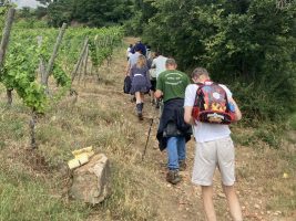 Rando & Vin en Côte-Rôtie avec Mr Probus