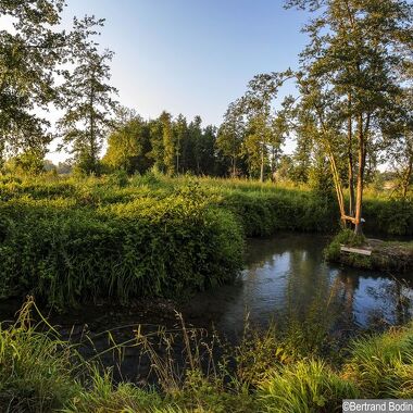 © Espace Naturel Sensible des prairies inondables de Pont-Évêque - <em>Bertrand Bodin - Département de l'Isère</em>