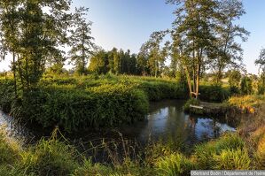 Espace Naturel Sensible des prairies inondables de Pont-Évêque