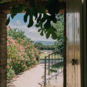 © Château Les Oliviers de Salettes - <em>Château Les Oliviers de Salettes</em>