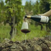 © Verre dans les vignes - <em>(c) Tous droits reserves</em>