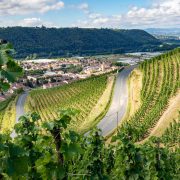 © Photo vue depuis les vignes du Domaine de Rosiers - <em>Gourdain Maxime</em>