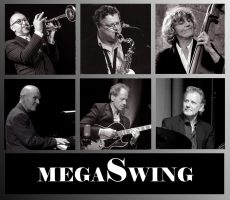 Mégaswing