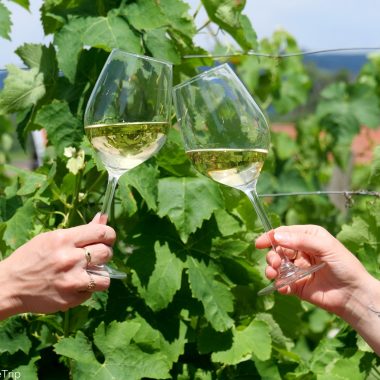 © Rhône Trip - <em>Rhône Trip - Chouette Marketing</em>