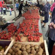 © Fraises Saint Prim - <em>Denis LARDIN</em>