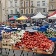 © Tomates d’Ampuis - <em>Denis LARDIN</em>