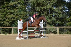 Concours Hippique au Club Hippique Viennois