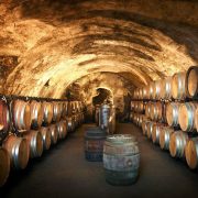 © Wine and Ride Condrieu_Condrieu - <em>SOLOPHOTOGRAPHIE</em>