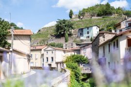 Visite guidée groupe : Condrieu par les Condriots