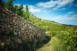 Domaine Pierre-Jean Villa