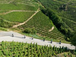 Pack ViaGusta et balade en gyropode