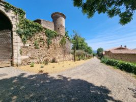Spectacles médiévaux au Château de la Chapelle-Villars