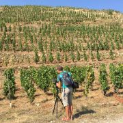 © Rando Wine à la Cave Saint-Désirat_Saint-Désirat - <em>OT Ardèche Grand Air</em>