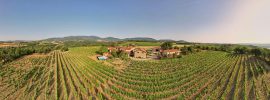 Wine Notes au Domaine Verzier