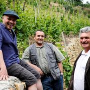 Wine Notes chez Judy avec les Vins de Vienne_Pélussin