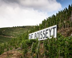Wine Notes au Domaine De Boisseyt