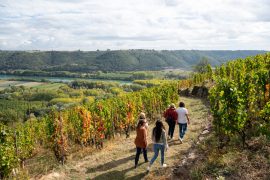 Rando Wine au Domaine Clusel-Roch