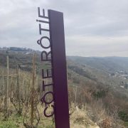 © Côte-Rôtie - <em>Denis LARDIN</em>