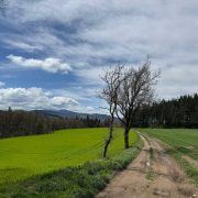 © Mont Monnet et Rigotte de Condrieu - Pilat Rhodanien - Longes_Longes - <em>Julie lfr Rhône Tourisme</em>