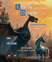 Licorne et dragon : spectacle équestre cascades et voltiges