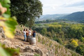 Apéros Vignes au Domaine de Corps de Loup