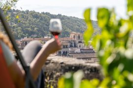 Apéros Vignes à la Maison Colombier