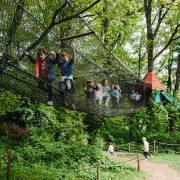 © Le monde d'en haut - Le Bois des Lutins - <em>Bois des Lutins</em>