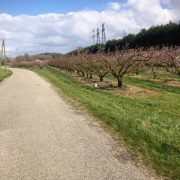 © Week-end à vélo dans la Drôme entre villes et campagnes_Valence - <em>M.SERGENT_Drome-Attractivite</em>