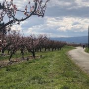 © Week-end à vélo dans la Drôme entre villes et campagnes_Valence - <em>M.SERGENT_Drome-Attractivite</em>