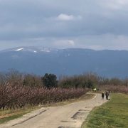 © Week-end à vélo dans la Drôme entre villes et campagnes_Valence - <em>M.SERGENT_Drome-Attractivite</em>