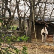 © Week-end à vélo dans la Drôme entre villes et campagnes_Valence - <em>M.SERGENT_Drome-Attractivite</em>